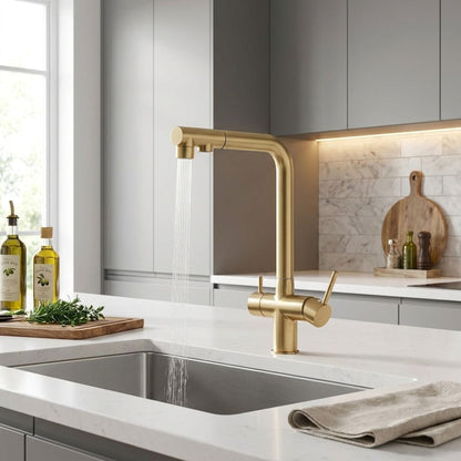 Robinet cuisine avec douchette extractible double jet