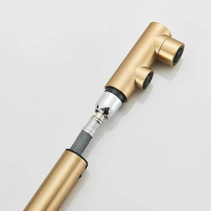Robinet cuisine avec douchette extractible double jet